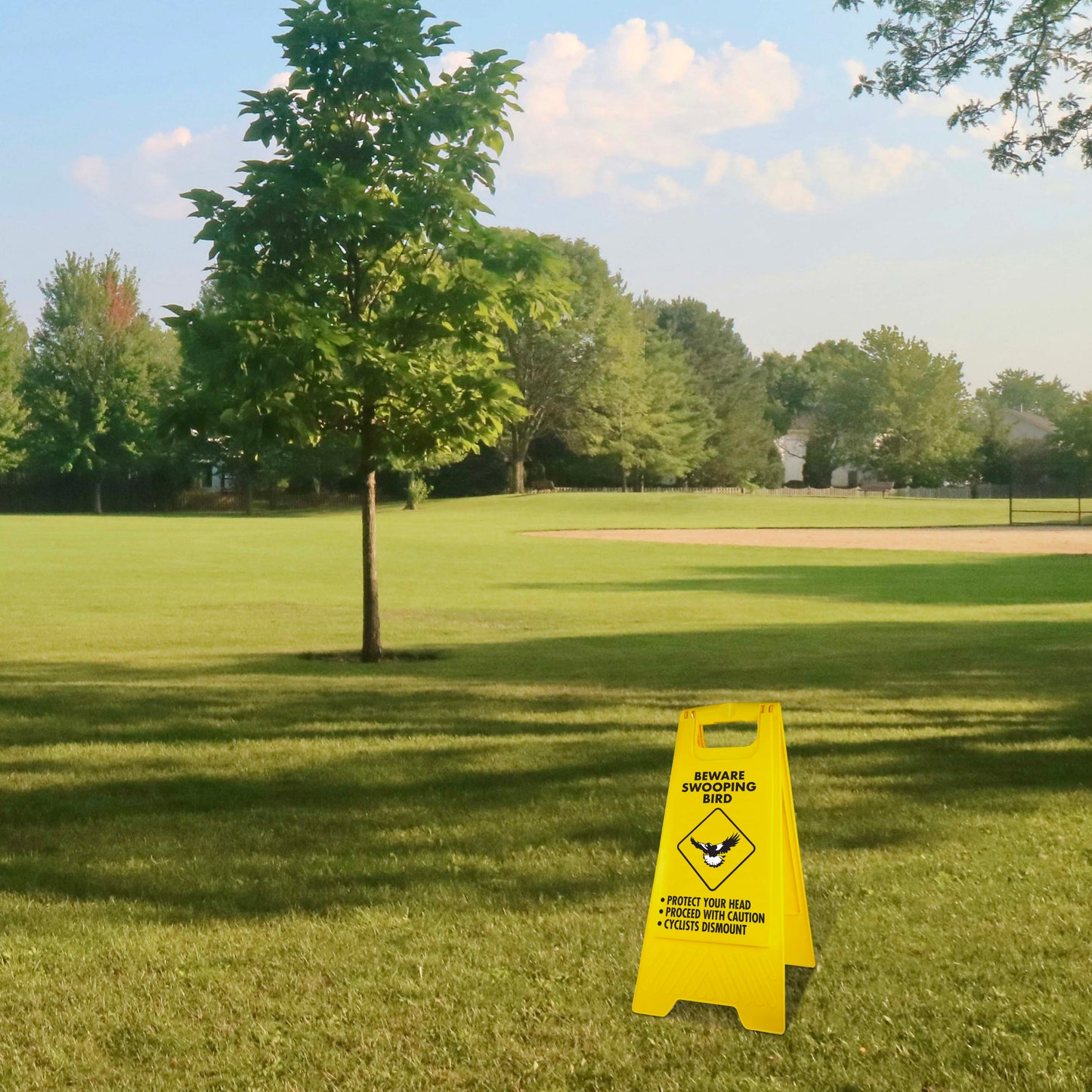 Yellow A-Frame - Beware Swooping Bird