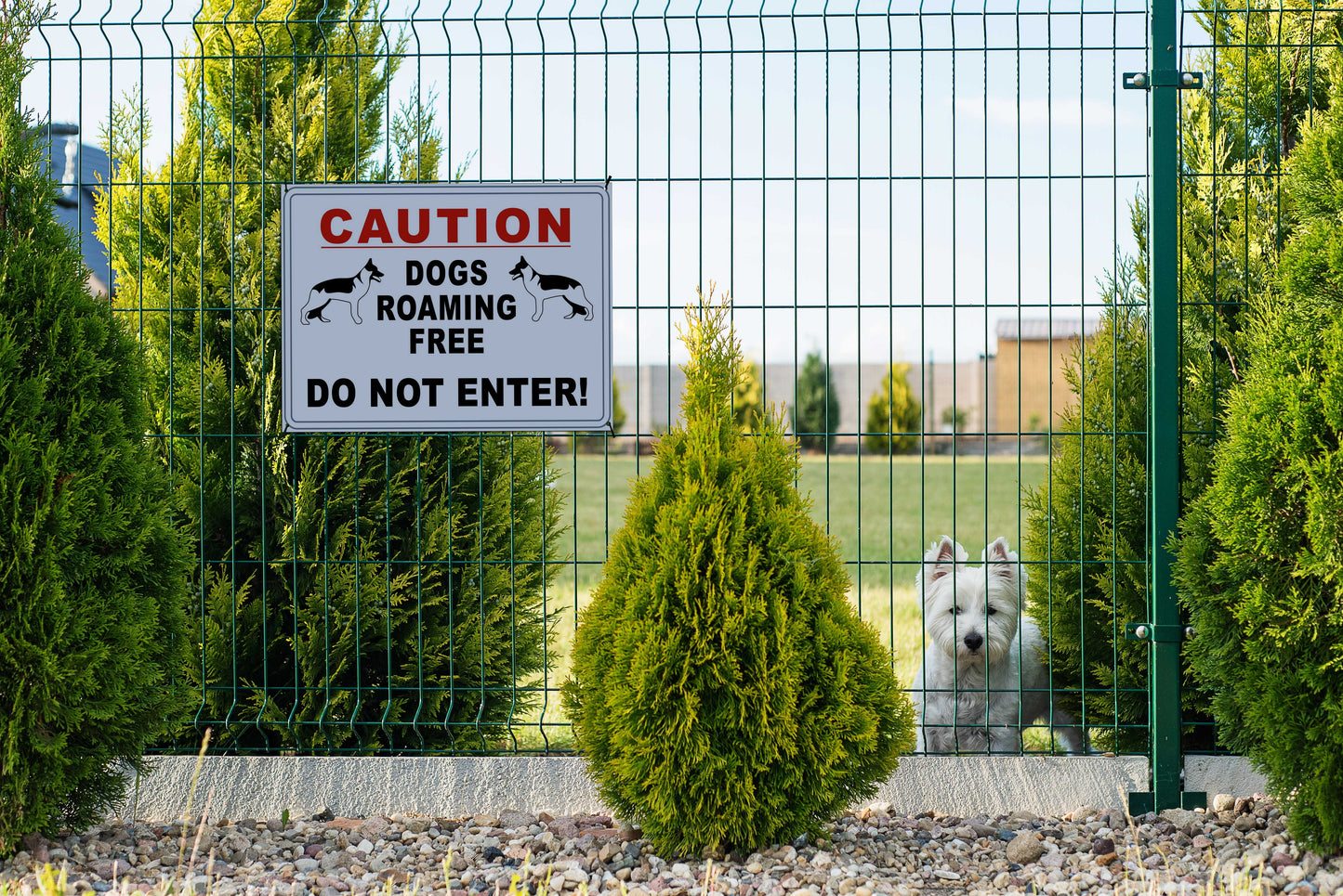 Caution Dogs Roaming Free Do Not Enter Sign