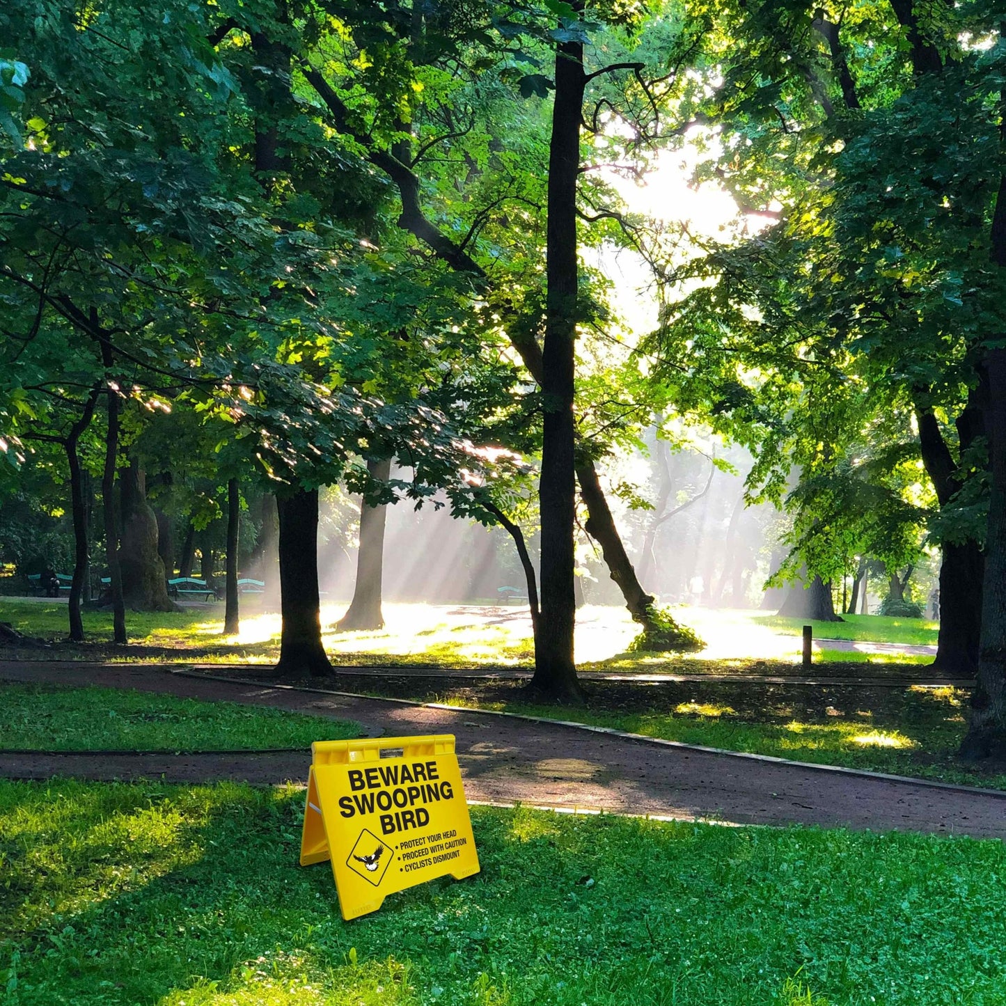 Beware Swooping Bird - Evarite A - Frame Sign - New Signs