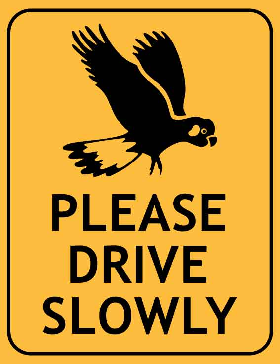 Black Cockatoo Please Drive Slowly Wheelie Bin Sticker - New Signs