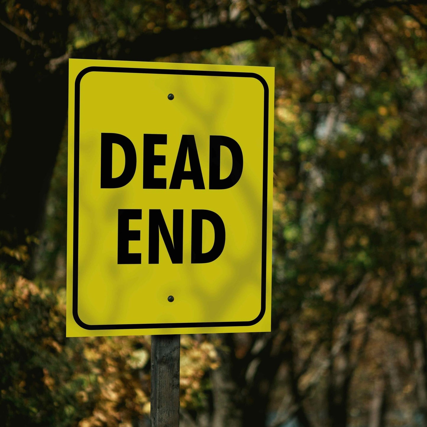 Dead End Sign - New Signs