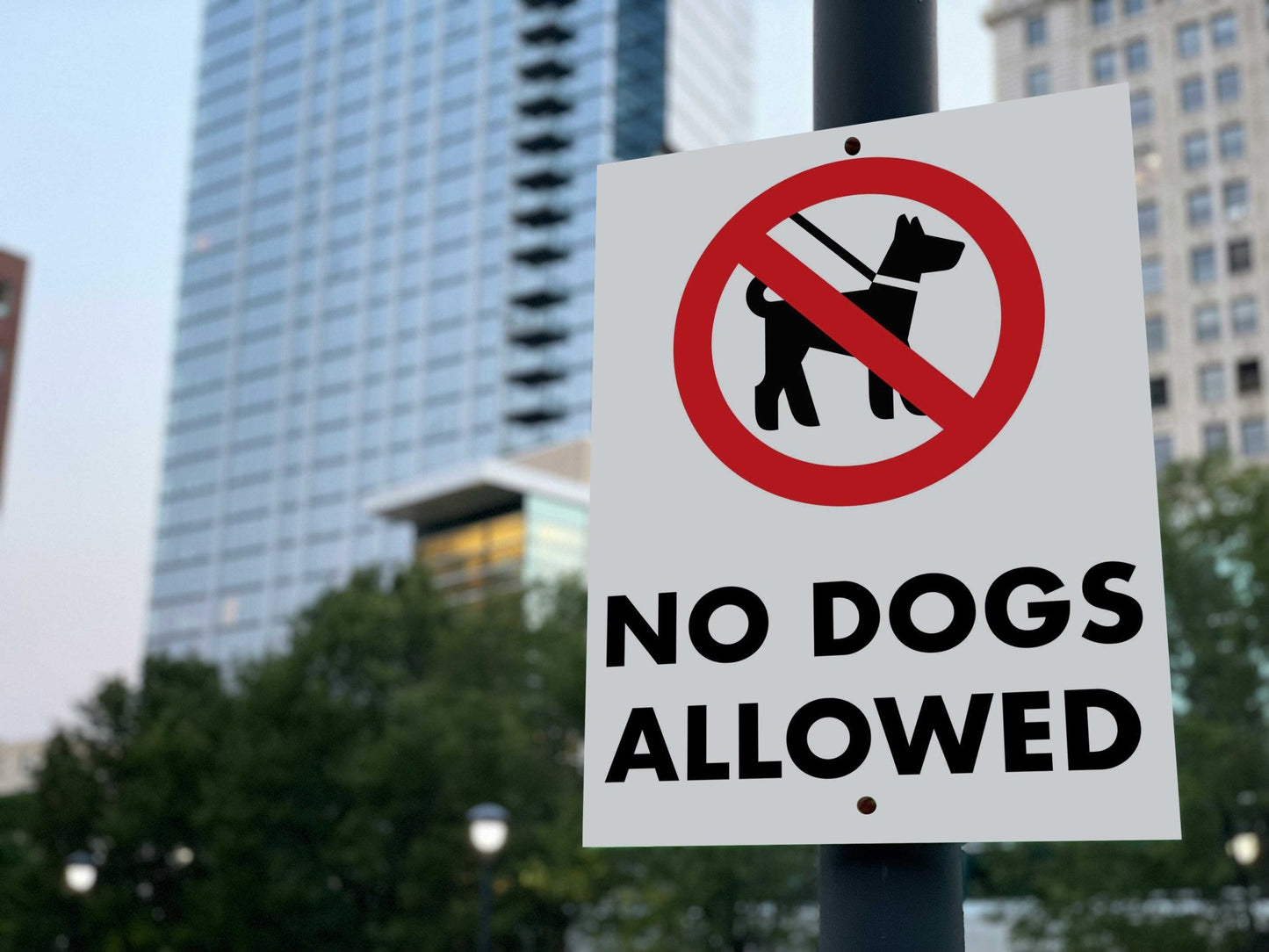 No Dogs Allowed Sign - New Signs