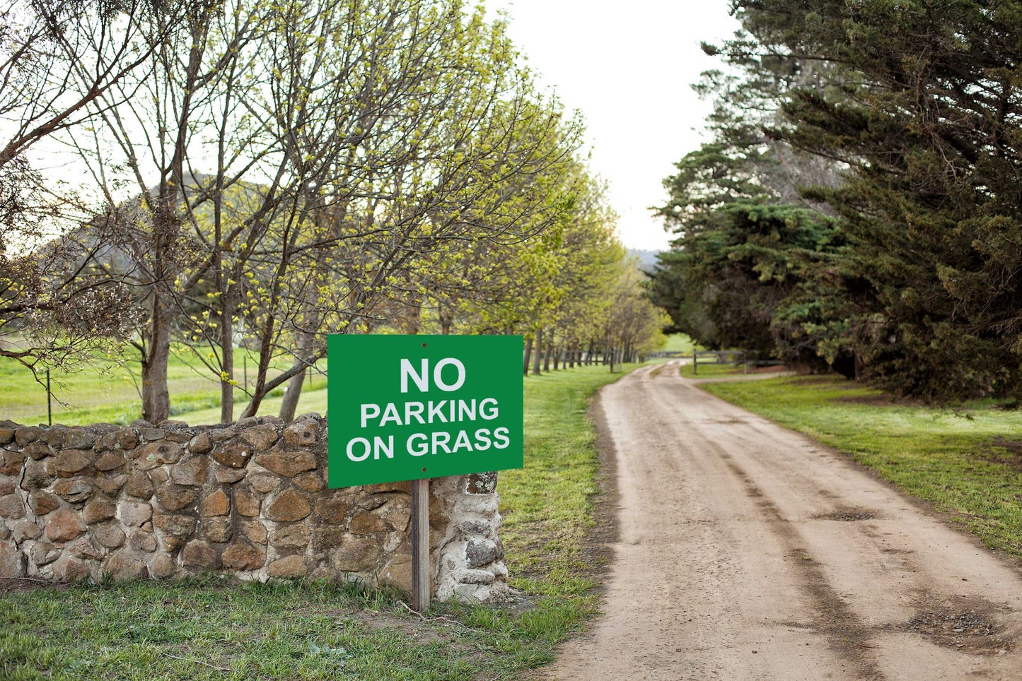 No Parking on Grass Sign - New Signs