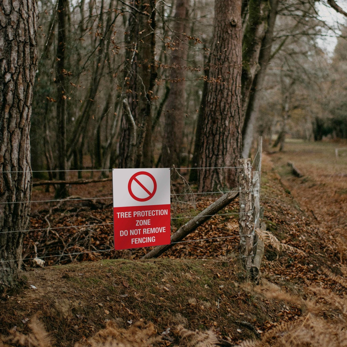 Tree Protection Zone Do Not Remove Fencing Sign - New Signs
