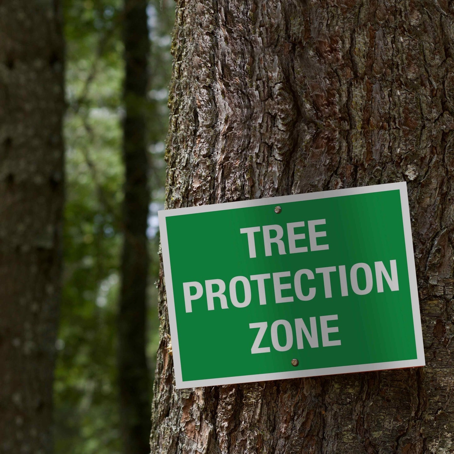 Tree Protection Zone Sign - New Signs