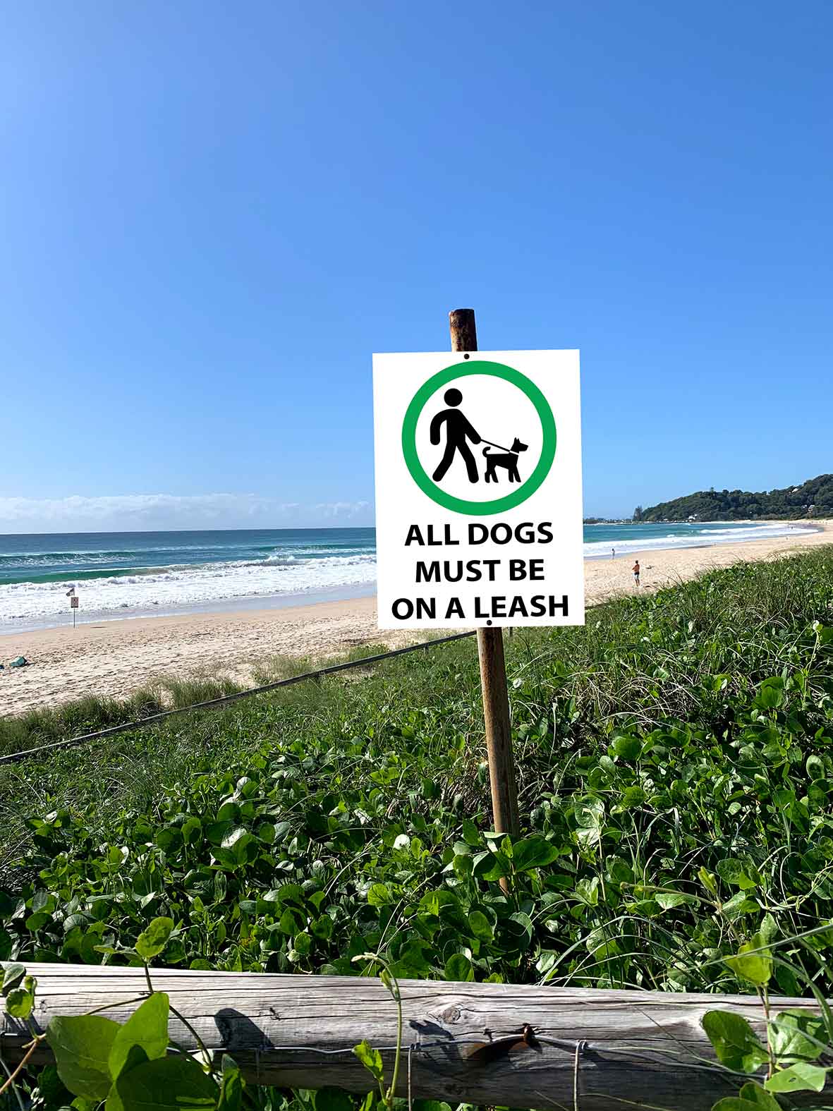 All Dogs Must Be On A Leash Green Sign
