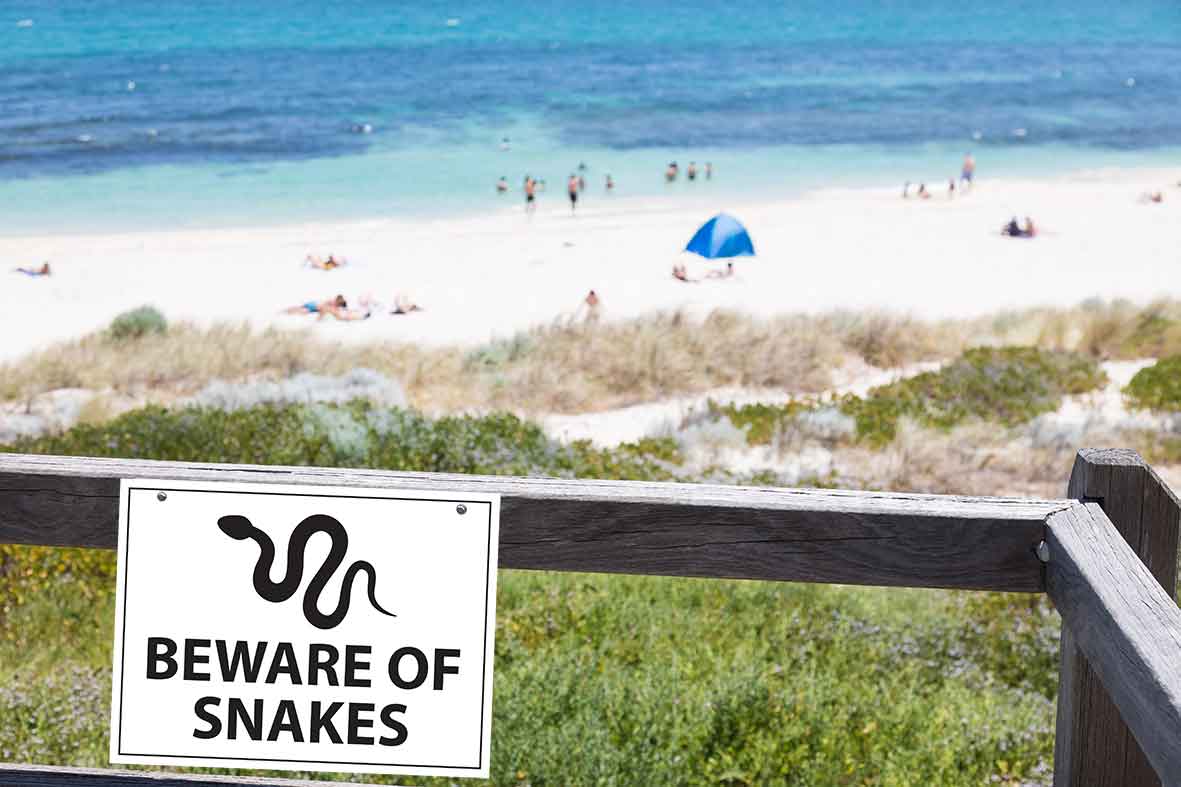 Beware Of Snakes Horizontal Sign