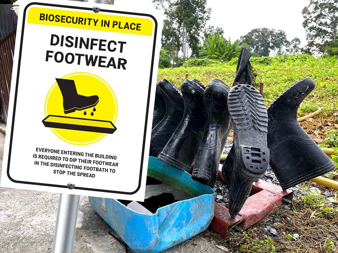 Biosecurity In Place Disinfect Footwear Sign