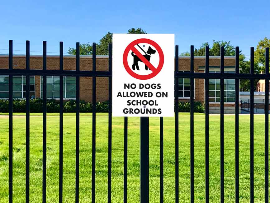 No Dogs Allowed On School Grounds Sign