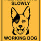 Please Drive Slowly Working Dog in This Area Sign