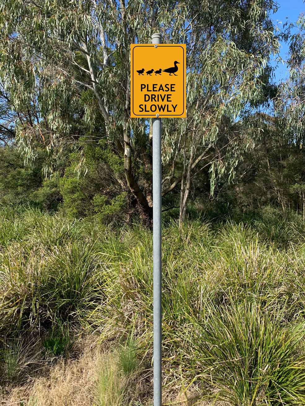 Ducks Please Drive Slowly Sign