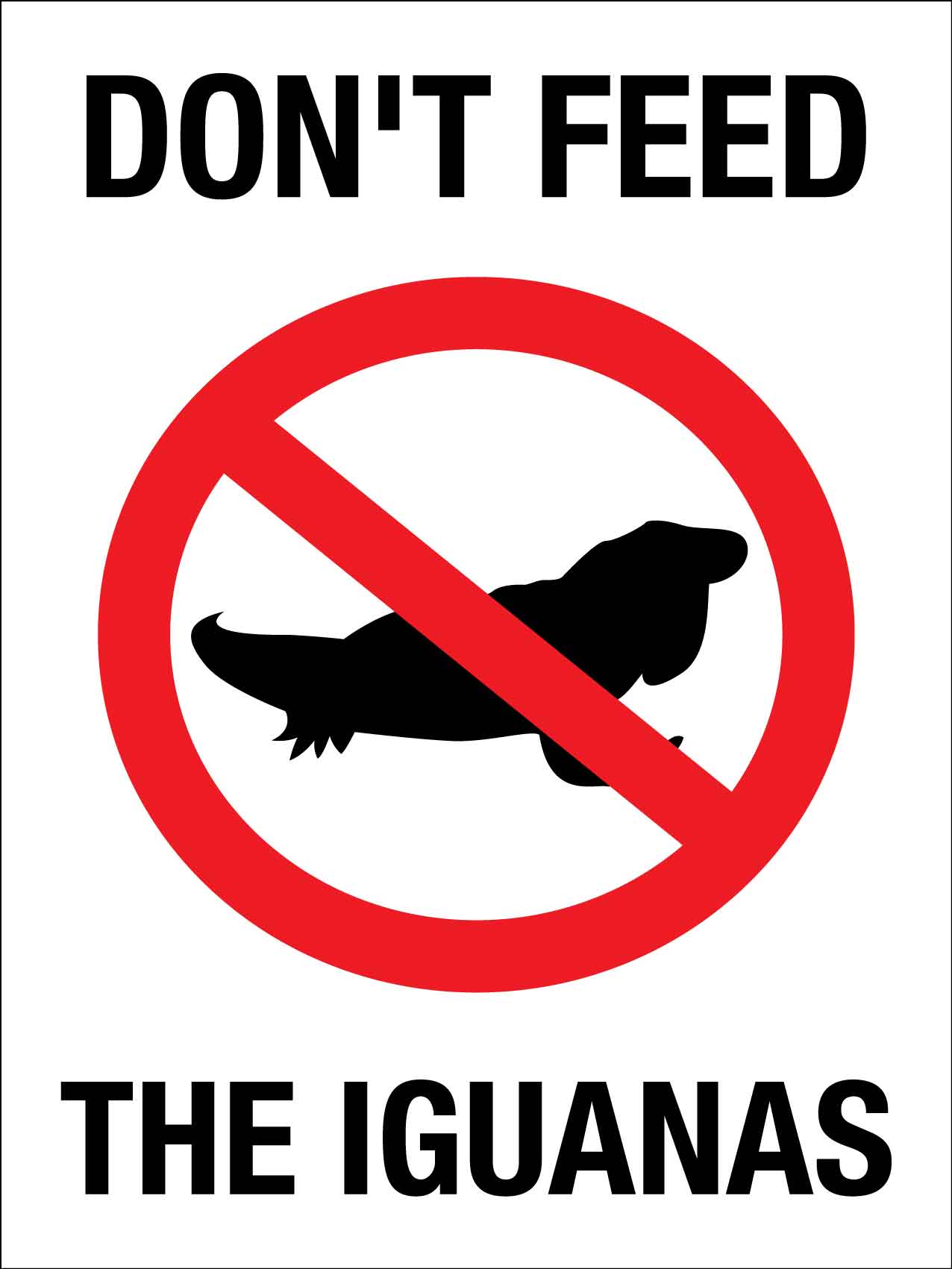 Don't Feed The Iguanas Sign - New Signs