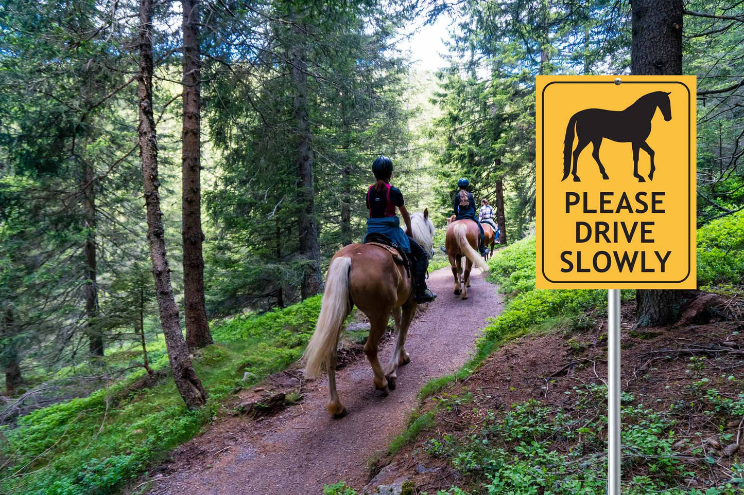Horses Please Drive Slowly Sign - New Signs
