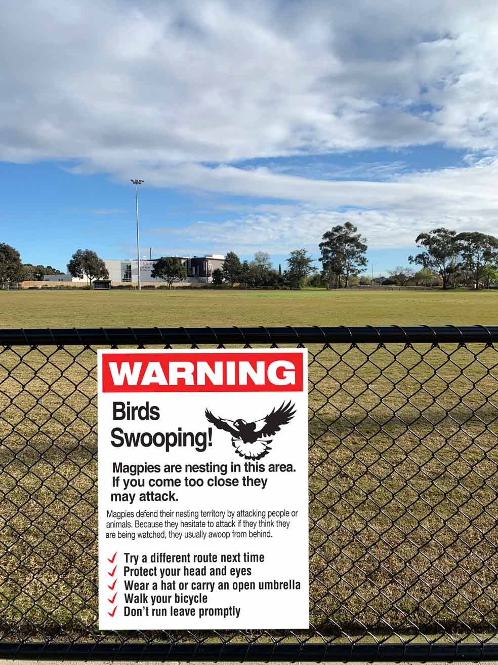 Warning Birds Swooping Sign - New Signs