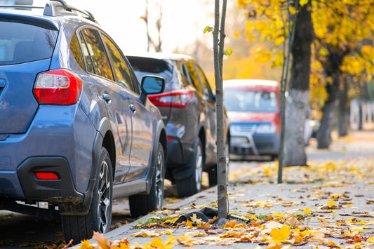 Understanding Parking and No Parking Signage