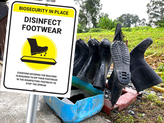 Farm Biosecurity Signs To Help Prevent FMD
