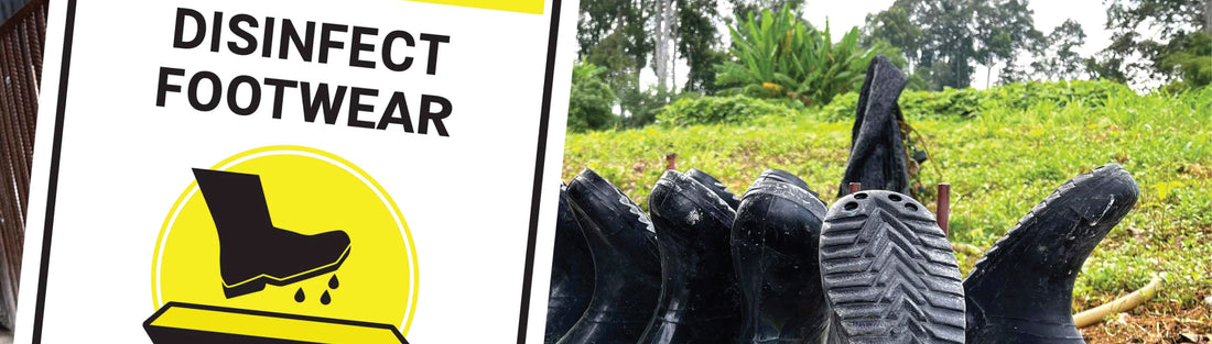 Farm Biosecurity Signs To Help Prevent FMD