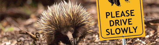We Love Wildlife Signs Australian Range!