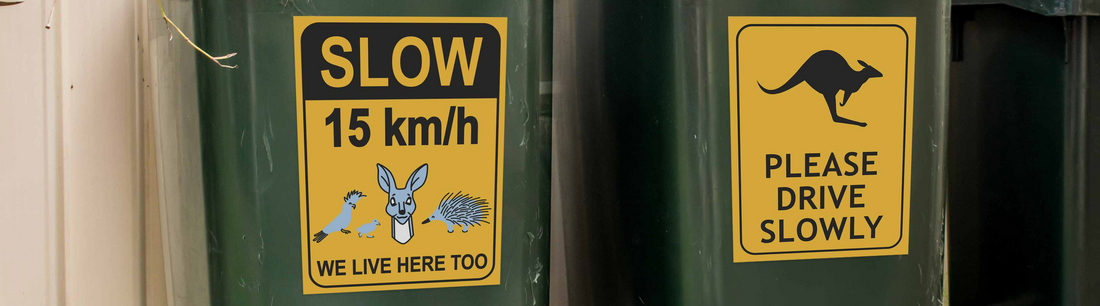 Wheelie Bin Warriors: How Your Bin Can Help Save Our Wildlife