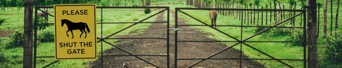 Fur, Hooves, and Paw Prints: Understanding Animal Signage in Australia - New Signs