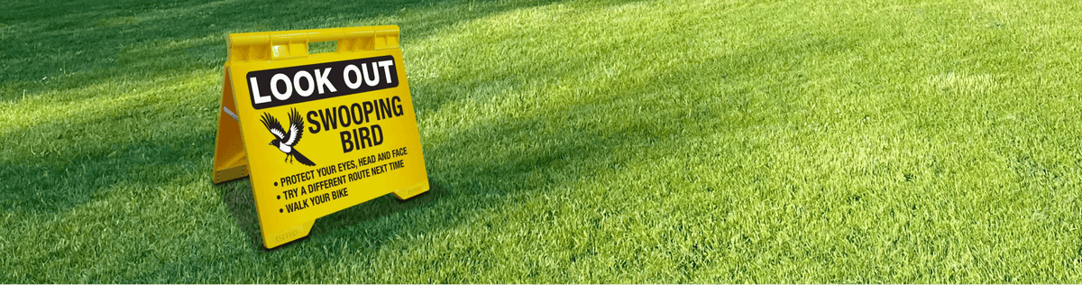 The Complete Guide to A-Frame Signage at New Signs