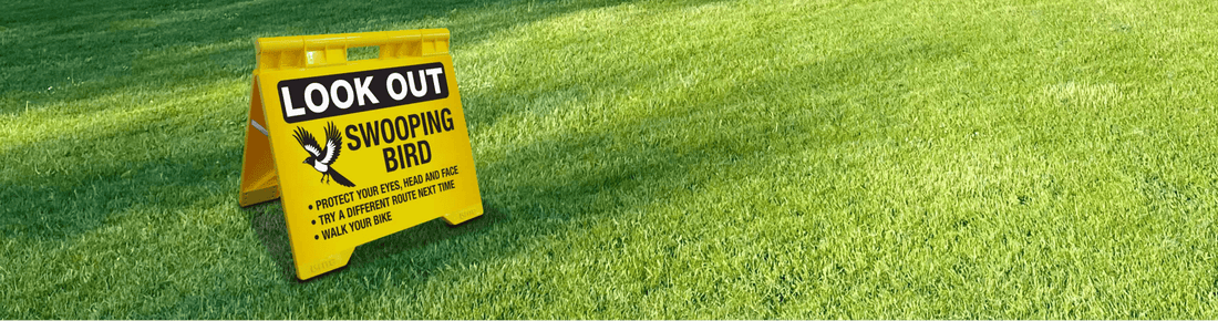 The Complete Guide to A-Frame Signage at New Signs - New Signs