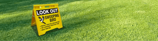 The Complete Guide to A-Frame Signage at New Signs - New Signs