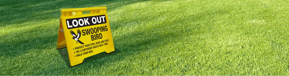 New Signs