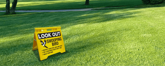The Complete Guide to A-Frame Signage at New Signs - New Signs