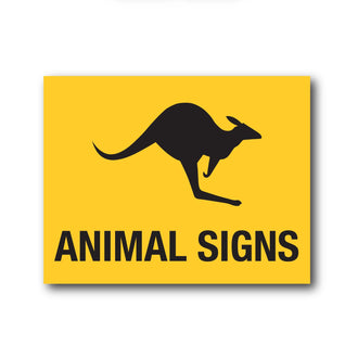 Collections – New Signs