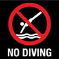 AP No Diving Square Sign