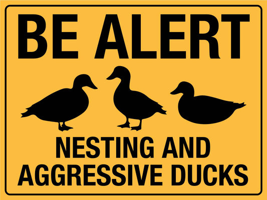 Be Alert Nesting And Aggressive Ducks Sign