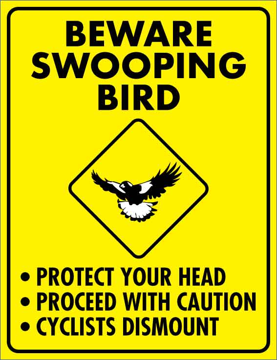 Beware Swooping Bird Wheelie Bin Sticker