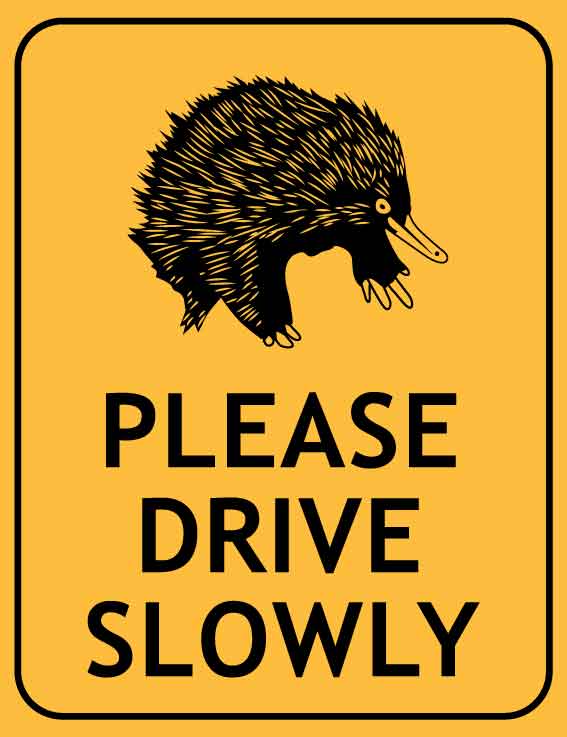 Echidna Please Drive Slowly Wheelie Bin Sticker