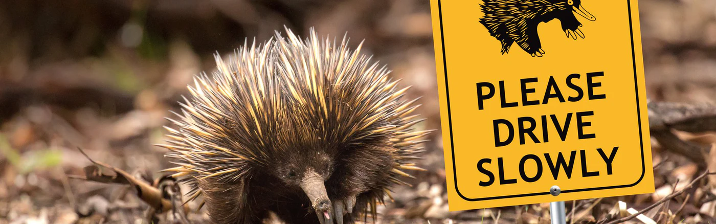 Australian wildlife warning signs : r/MildlyVandalised