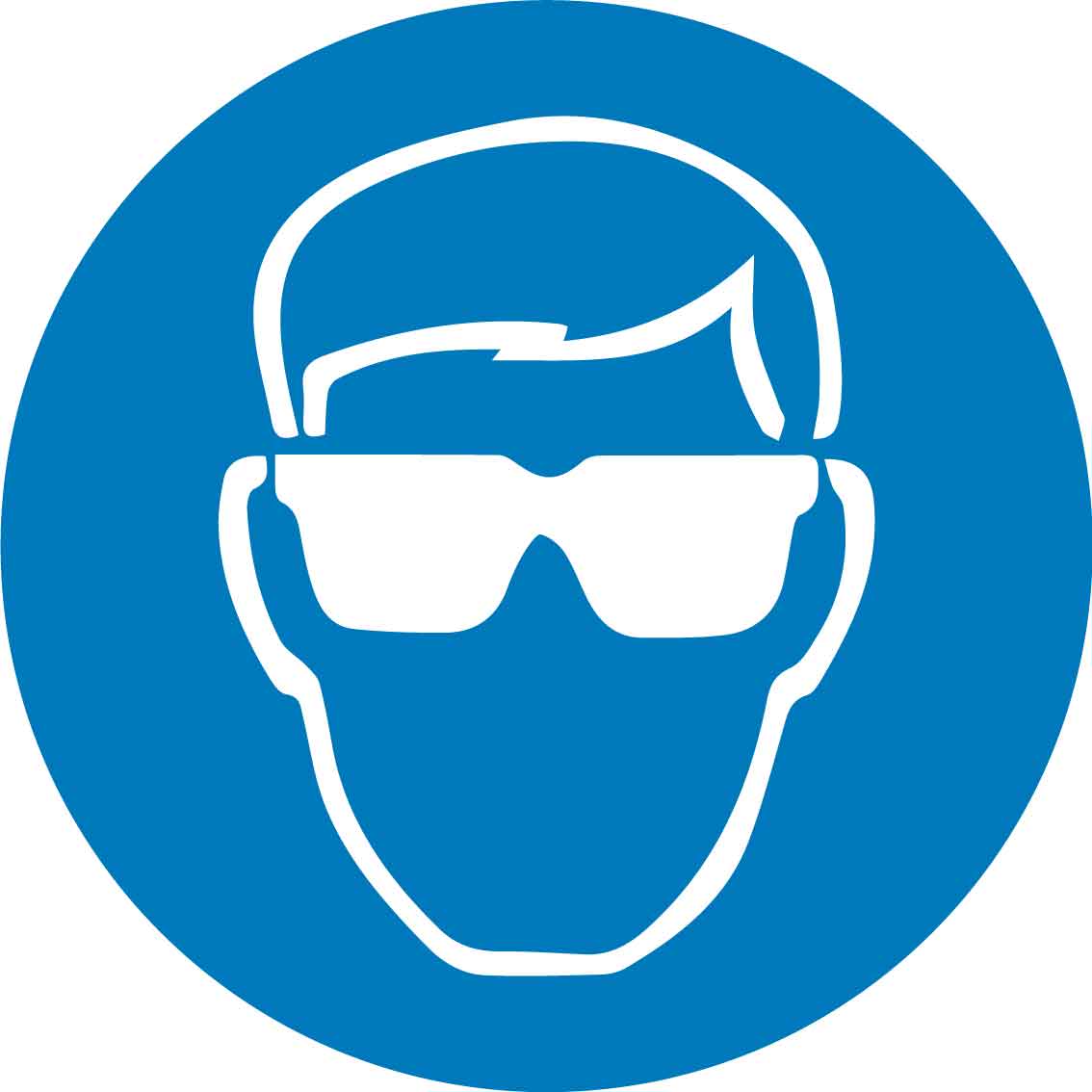 Eye Protection Decal