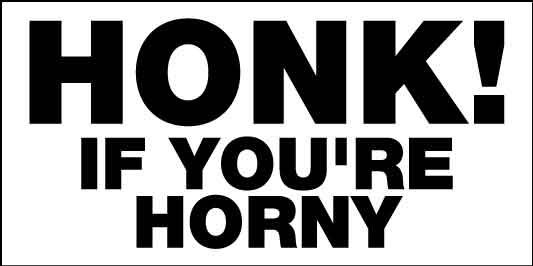 Honk If Youre Horny Car Bumper Stickers