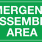 MB Emergency Assembly Area Sign