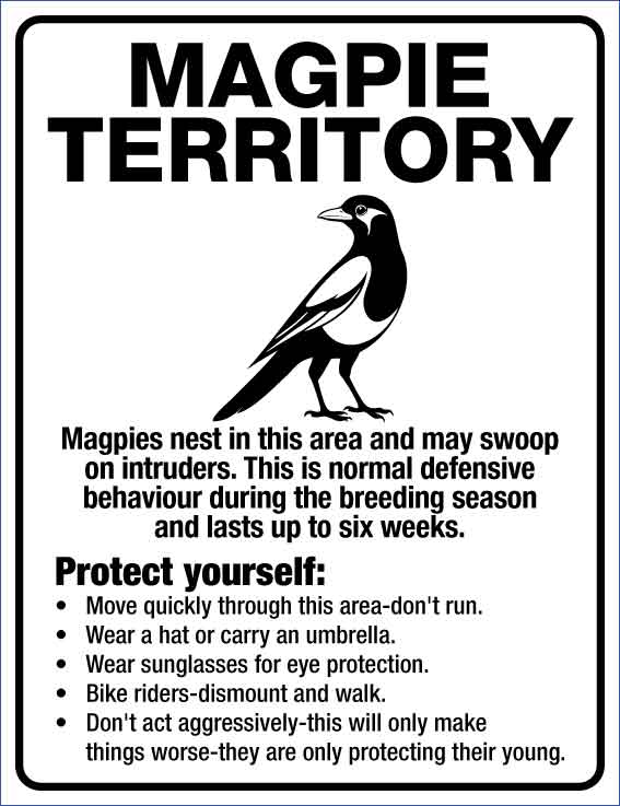 Magpie Territory Wheelie Bin Sticker