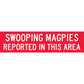Swooping Magpies Reported In This Area Long Skinny Multi Message Traffic Sign