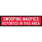 Swooping Magpies Reported In This Area Long Skinny Multi Message Traffic Sign
