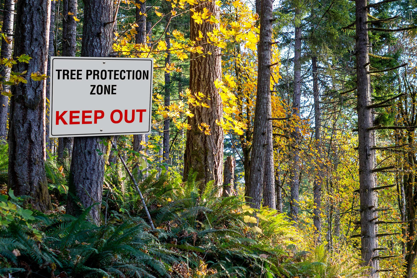 Tree Protection Zone Keep Out Sign