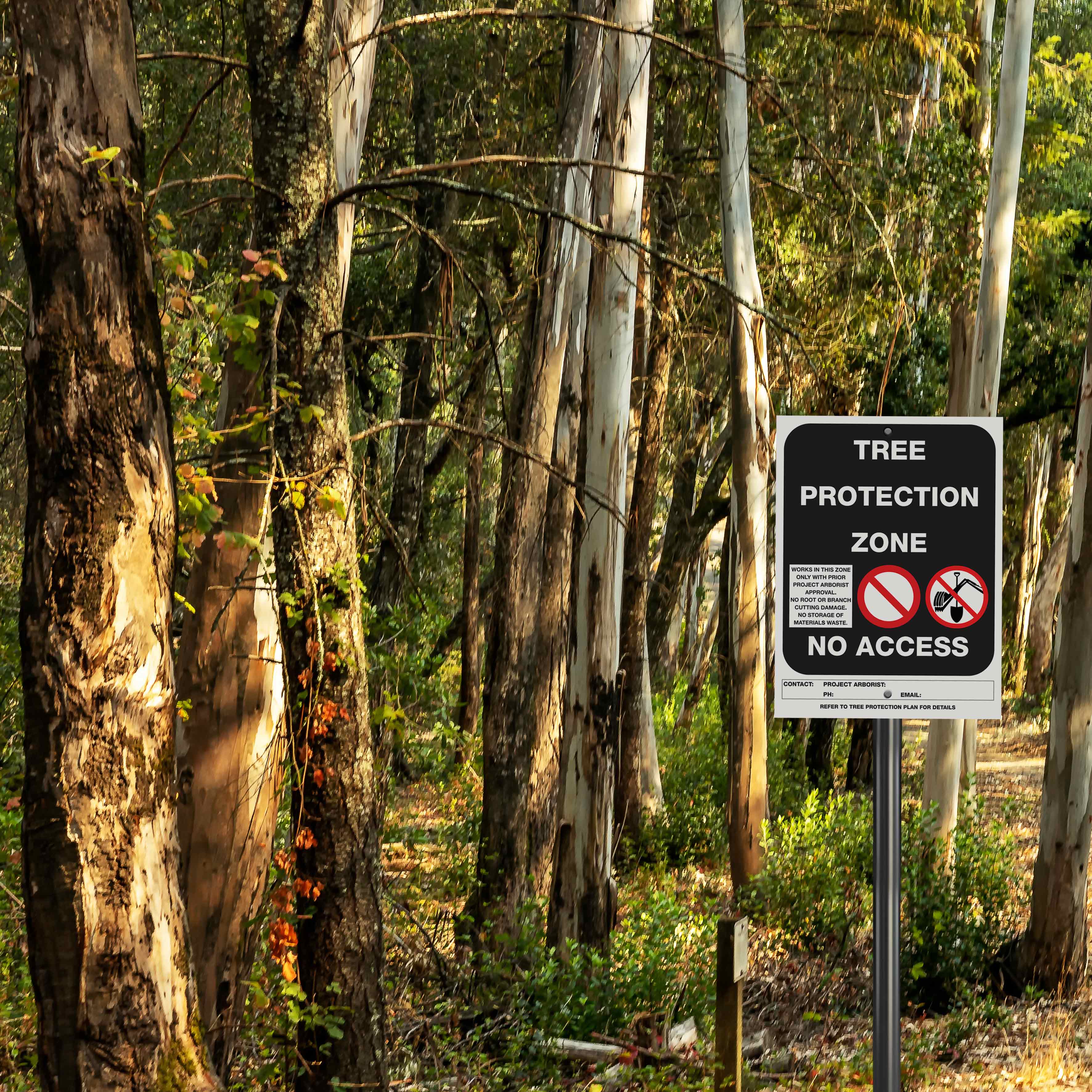 Tree Protection Zone Sign Sample Tree Protection Zone No Access Black Sign – New Signs