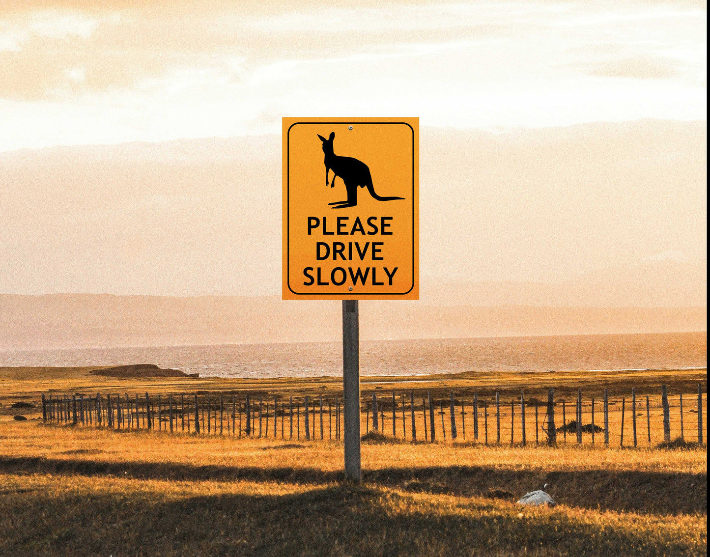 Wallaby Please Drive Slowly Sign
