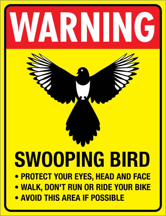 Warning Swooping Bird Wheelie Bin Sticker