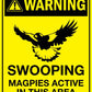 Warning Swooping Magpies Active in this Area Bright Yellow Wheelie Bin Sticker
