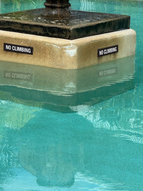 AP No Climbing Sign 360mm x 80mm - New Signs