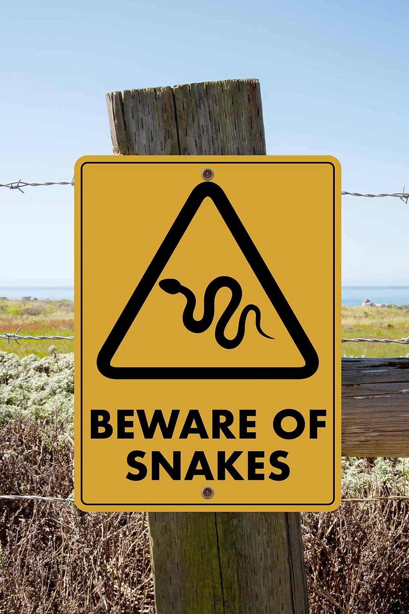 Caution Beware of Snakes Sign - New Signs