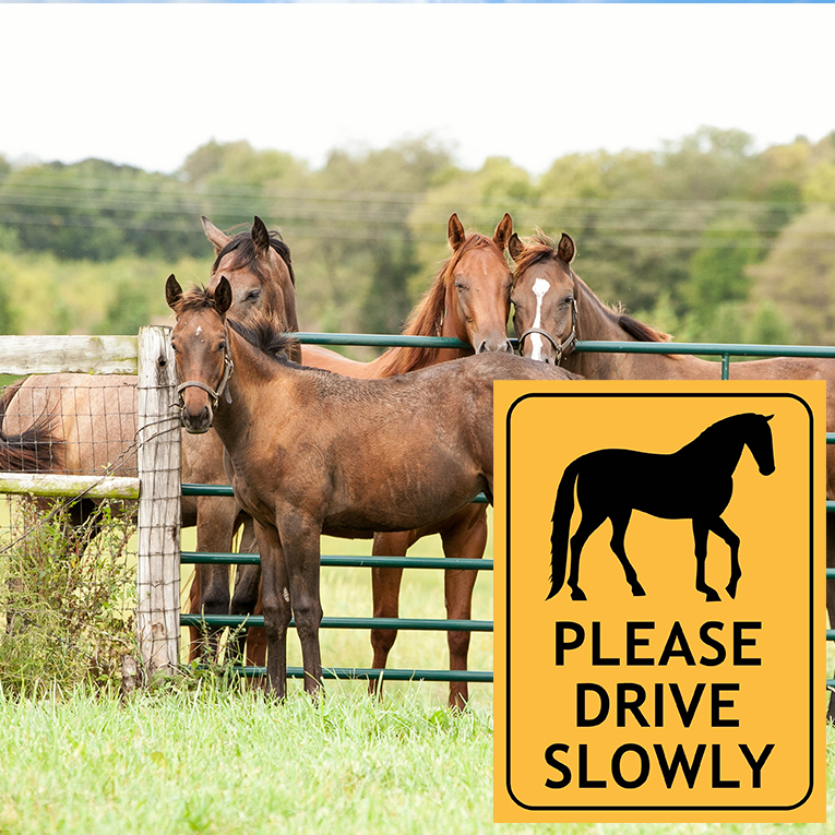 Signs Secure Horse Flash Sticks 2 Sticks