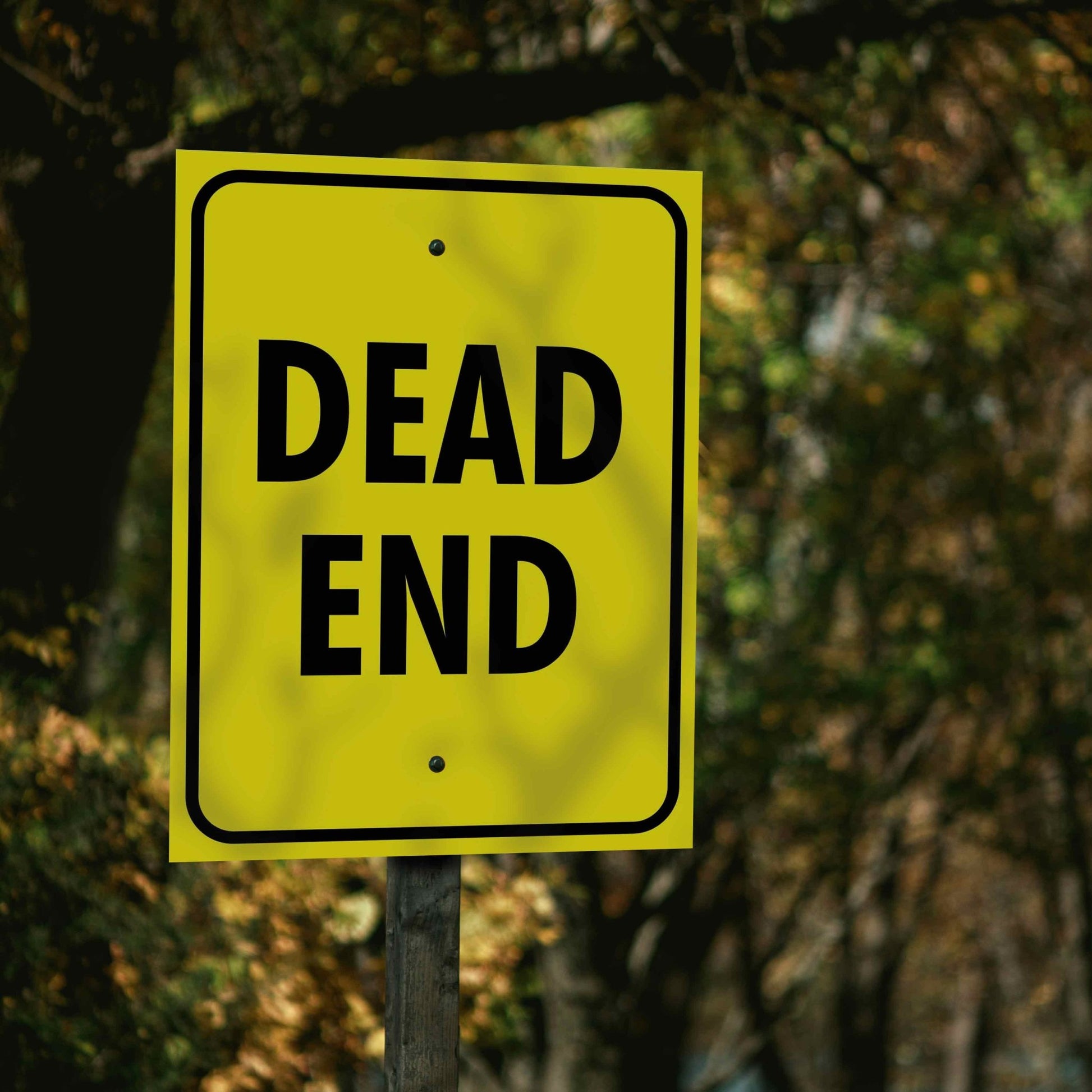 Dead End Sign - New Signs